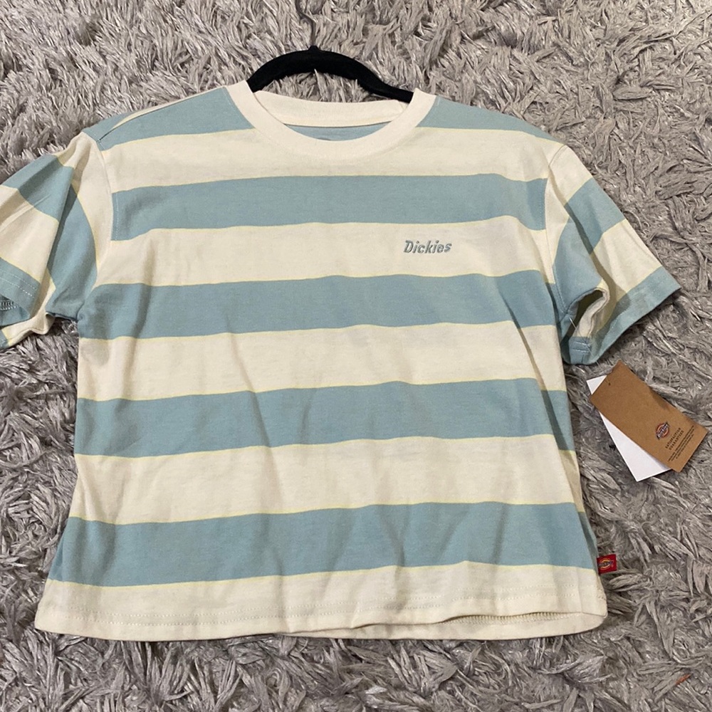 Dickies t shirt striped